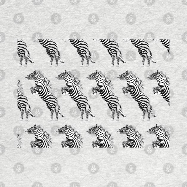 Jumping zebra by ilhnklv